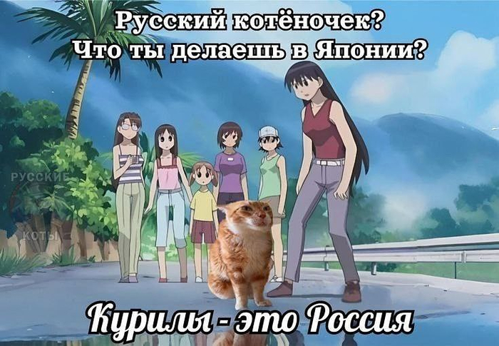 Animemes #543659 - Series Animes 3, 18+, Survey, Picture with text, Anime, Anime memes, A selection, Hentai, Trapom, Its a trap!, Mat, Video, Short videos, Vertical video, Longpost, NSFW