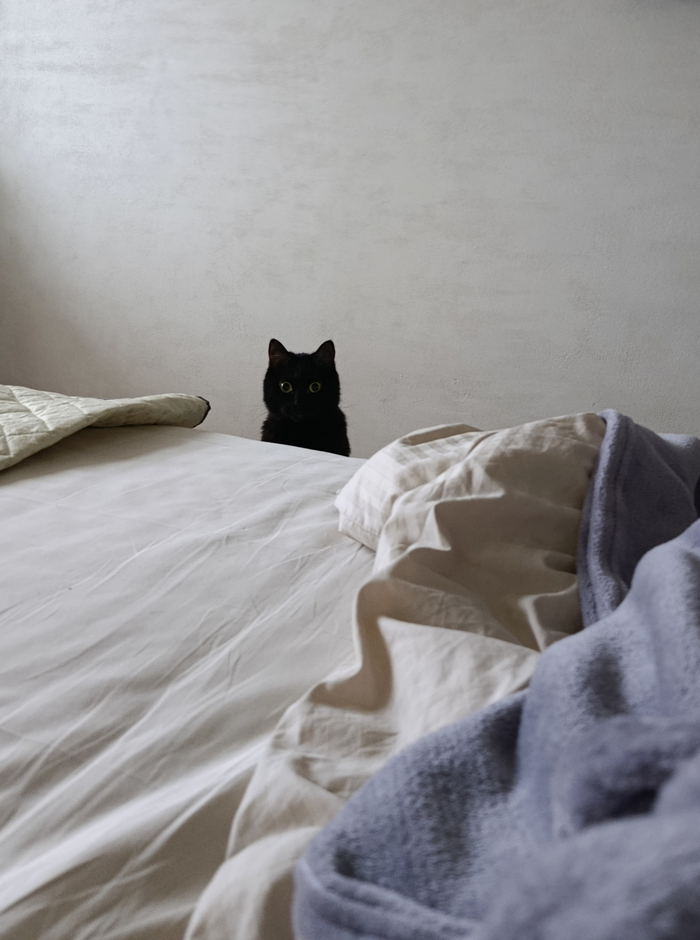 Who wants an ordinary woman? - Series I show but I dont sell, 18+, My, Homemade, Erotic, No face, 40+, Naked, Black and white photo, Pubes, Naturalness, Boobs, Longpost, NSFW