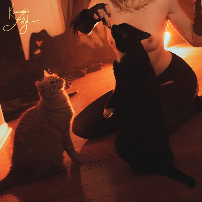 Continuation of the post Mercy by Cassandra Leigh - 18+, The photo, PHOTOSESSION, Cosplay, Cosplayers, Erotic lingerie, Booty, Boobs, Erotic, Games, Overwatch, Overwatch 2, Mercy, Longpost, Reply to post, Kassandra Leigh, NSFW