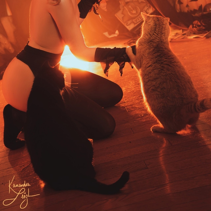 Continuation of the post Mercy by Cassandra Leigh - 18+, The photo, PHOTOSESSION, Cosplay, Cosplayers, Erotic lingerie, Booty, Boobs, Erotic, Games, Overwatch, Overwatch 2, Mercy, Longpost, Reply to post, Kassandra Leigh, NSFW